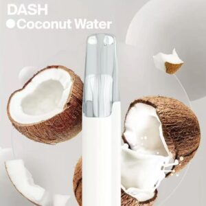 Snowplus Dash 4000 Puffs Disposable Vape