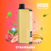Alibarbar Ingot 9000 Puffs FW